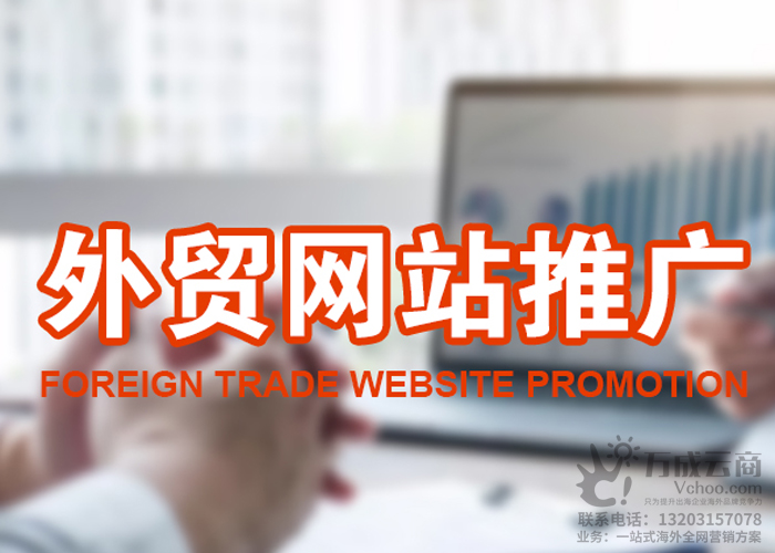 外贸网站推广