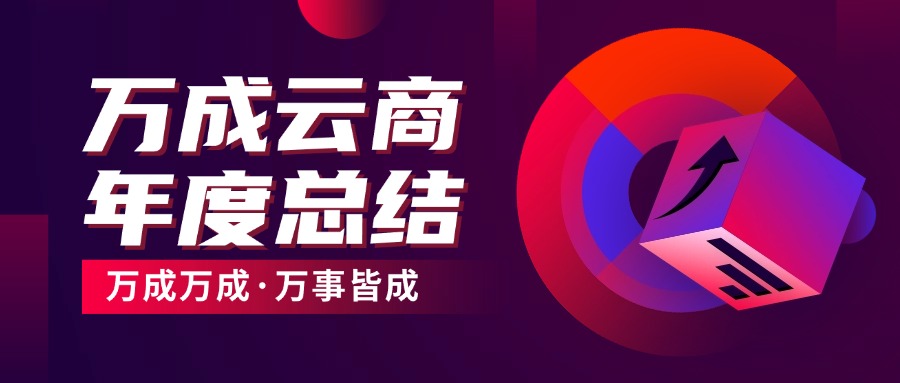 万成云商2024年度总结：创新引领，蜕变启航！