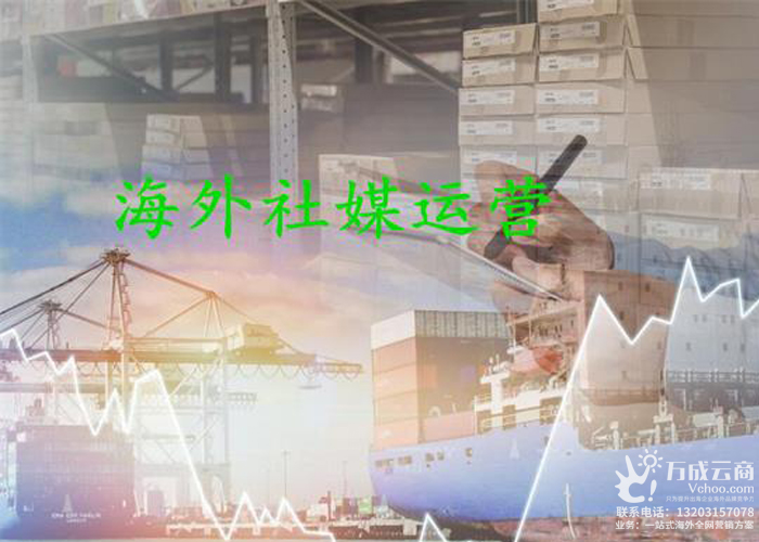 了解更多联系我们13203157078