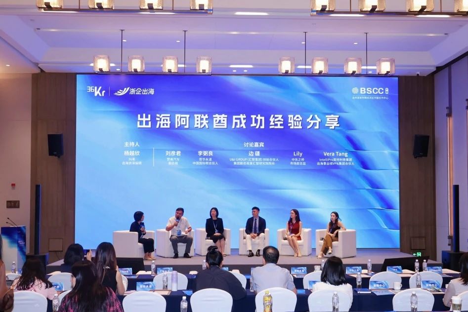 出海阿联酋成功经验分享