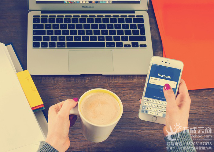 了解更多联系我们13203157078